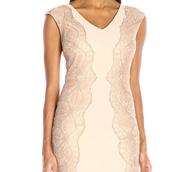 JAX Dresses & Skirts - New JAX Soft Blush Nude Full Lace Back Dress Sz 2